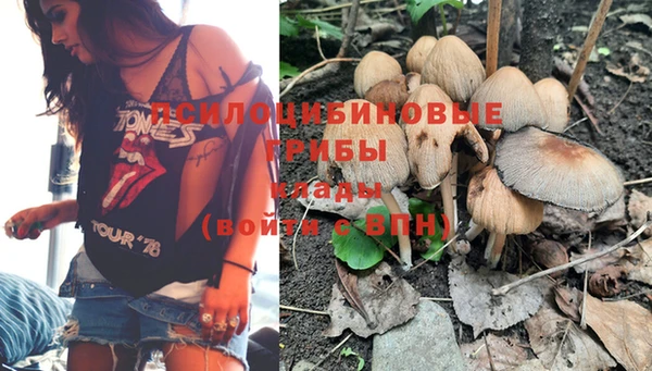 марки nbome Заводоуковск