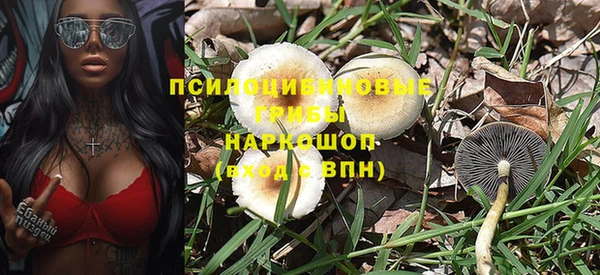 марки nbome Заводоуковск
