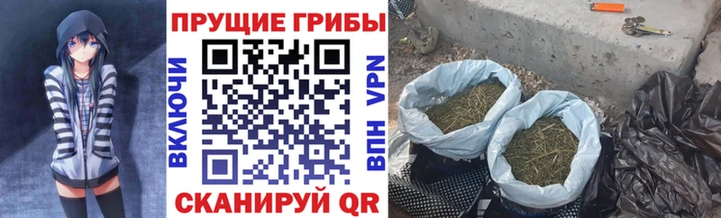 Галлюциногенные грибы MAGIC MUSHROOMS  Купить где  Заринск 